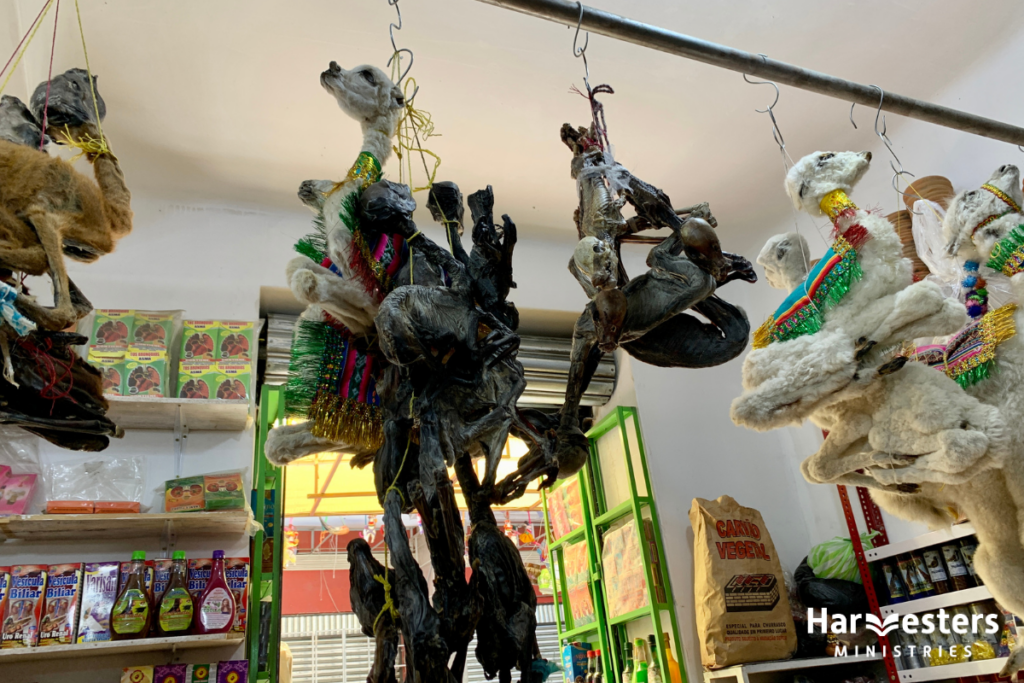 Dried llama charms. Harvesters Ministries